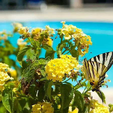 Nikos And Апартаменты Сами